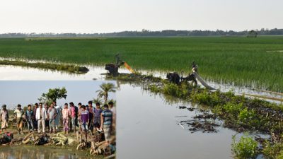 রাজবাড়ীতে বৃষ্টিতে পেঁয়াজের ব্যাপক ক্ষতি
