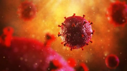 স্টেম সেল ট্রান্সপ্ল্যান্টে এইচআইভি ‘মুক্ত’ হলেন ব্রিটিশ রোগী