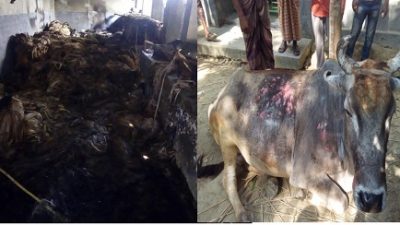 তালায় পাটের গুদামে আগুন,লক্ষাধিক টাকার ক্ষয়-ক্ষতি