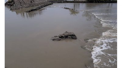 আশাশুনিতে পাউবো’র সহস্রাধিক মিটার  ভেড়িবাঁধ ঝুঁকিপূর্ণ : আতঙ্কিত এলাকাবাসী