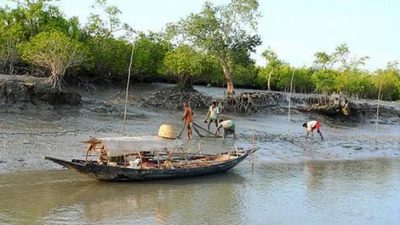 দুই মাস মাছ ধরায় বন বিভাগের নিষেধাজ্ঞা সুন্দরবনে
