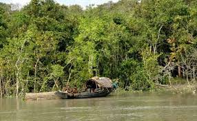সুন্দরবনের সঙ্কটাপন্ন এলাকায় মধ্যে ৫টি সিমেন্ট কারখানার অনুমোদন