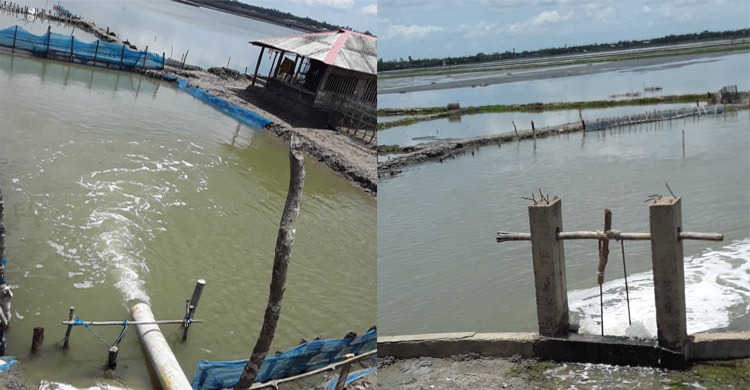 খুলনার কয়রায় ঘের মালিকরা বেড়িবাঁধ কেটে পাইপ বসিয়ে নদী থেকে পানি উত্তোলন করায় ঝুঁকিতে  ২১ কিলোমিটার বাঁধ