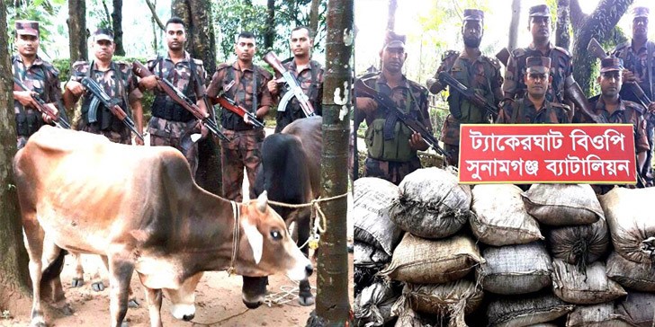 ভারতীয় গবাদি পশুর চালানসহ চোরাই মালামাল আটক