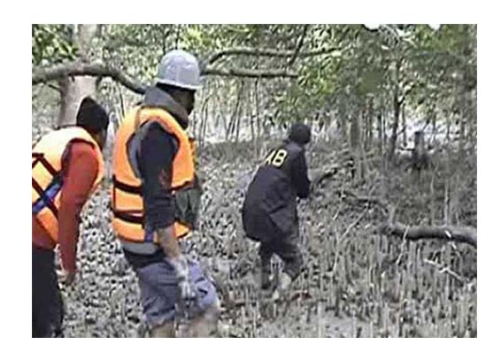 সুন্দরবনে বন্দুকযুদ্ধে খালেক বাহিনীর প্রধানসহ দুই বনদস্যু নিহত