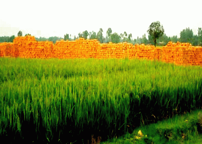 কৃষি জমি বাঁচাতে ইটের পরিবর্তে ব্লক ব্যবহার