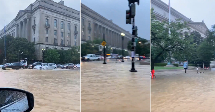 হোয়াইট হাউসে ঢুকে পড়ল বৃষ্টির পানি