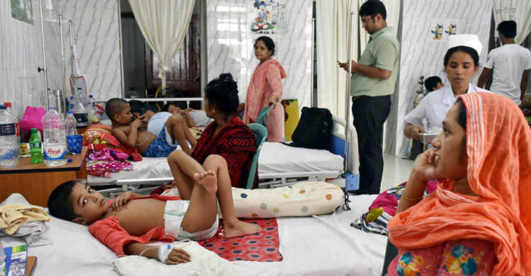 ডেঙ্গু আক্রান্তের সংখ্যা রেকর্ড ছাড়িয়ে যাচ্ছে