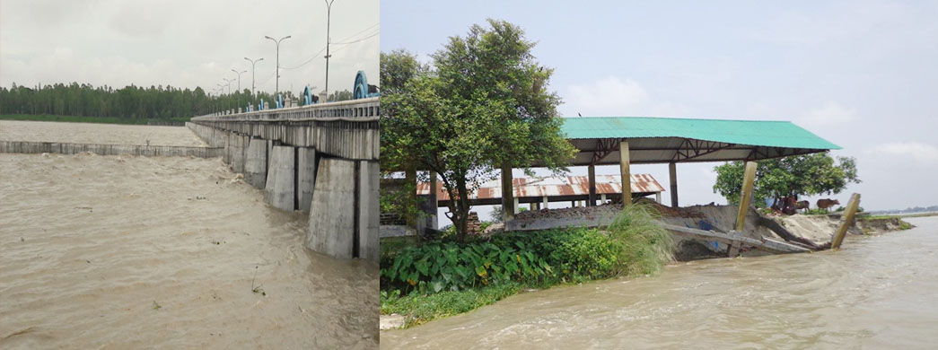 বিগত ৫০ বছরের সব রেকর্ড ভেঙে বিপৎসীমার উপর দিয়ে প্রবাহিত হচ্ছে যমুনা-তিস্তার পানি