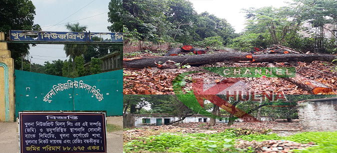খুলনা নিউজপ্রিন্ট মিলের অভ্যন্তরে চলছে হরিলুটের মহাৎসব