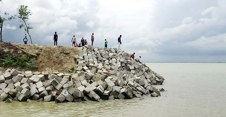 পদ্মায় পানিও বাড়ছে ভাঙনও বাড়ছে