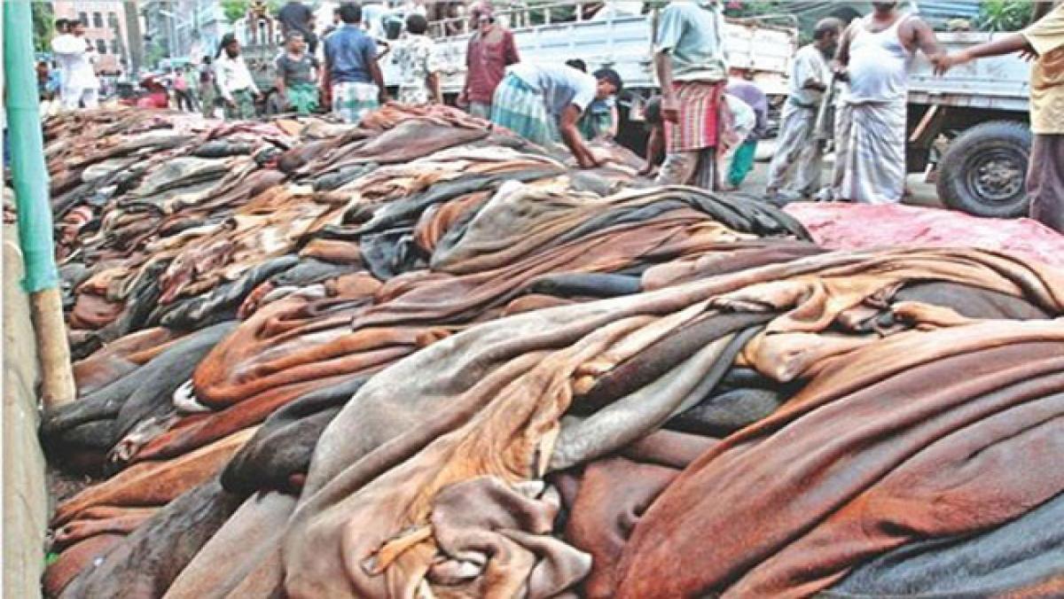 এবার কোরবানীর মৌসুমে চামড়া না কেনার সিদ্ধান্ত খুলনার ব্যবসায়ীদের