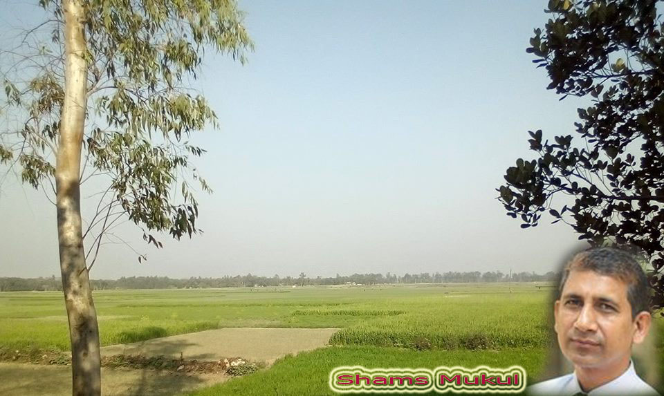 “সুখ তুমি কি বড় জানতে ইচ্ছে করে..