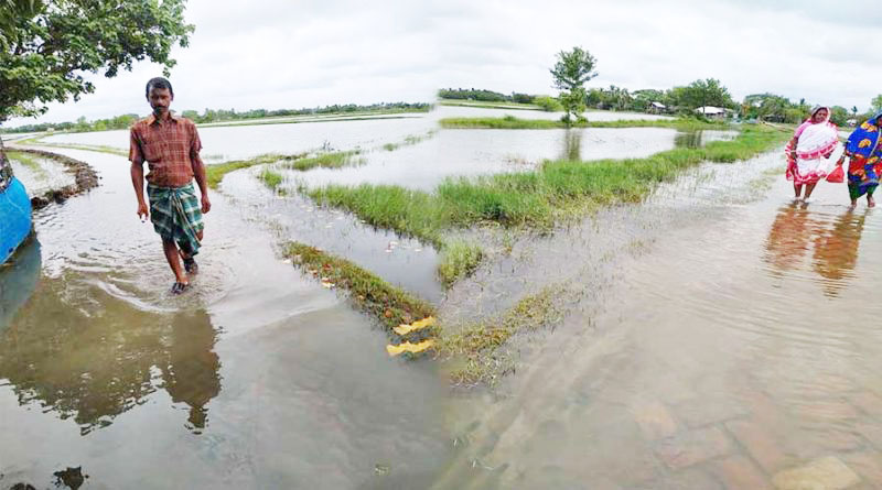 ডুমুরিয়ার মাগুরখালি এলাকার কয়েক হাজার বিঘা জমি জলাবদ্ধতার স্বীকার