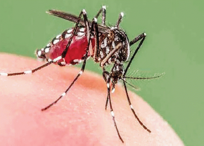 গত ২৪ ঘন্টায় খুলনা বিভাগে ডেঙ্গু আক্রান্ত রোগীর সংখ্যা ১৩৩জন