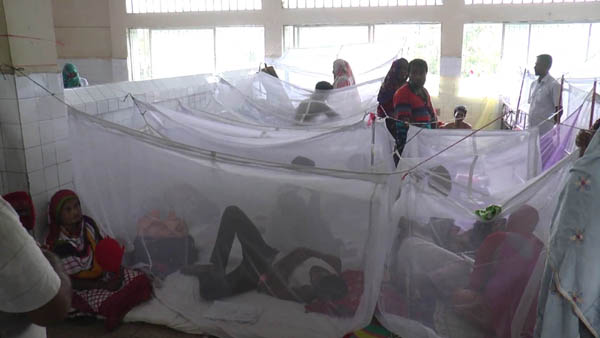 নতুন করে আরও ৪ ডেঙ্গু রোগী ভর্তি