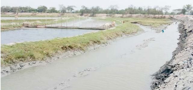 ডুমুরিয়ায় খালে বাঁধ দিয়ে মাছ চাষকারীদের দৌড়ঝাঁপ শুরু