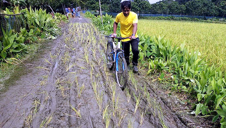 রাস্তায় ধানের চারা রোপণ করে এলাকাবাসীর প্রতিবাদ