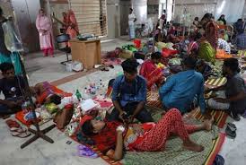 সাতক্ষীরায় ১০৬ ডেঙ্গু রোগী সনাক্ত