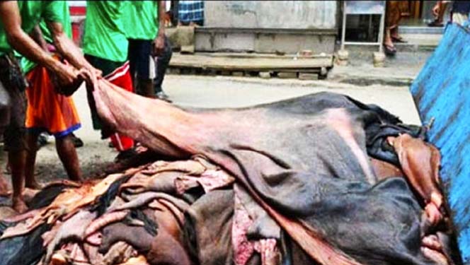 গরুর চামড়ার দাম ৪৫-৫০, ছাগল-ভেড়ার ১৩-১৫ টাকা