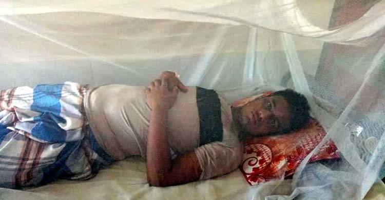 নড়াইলের হাসপাতালে ভর্তি ১৫ ডেঙ্গুরোগী