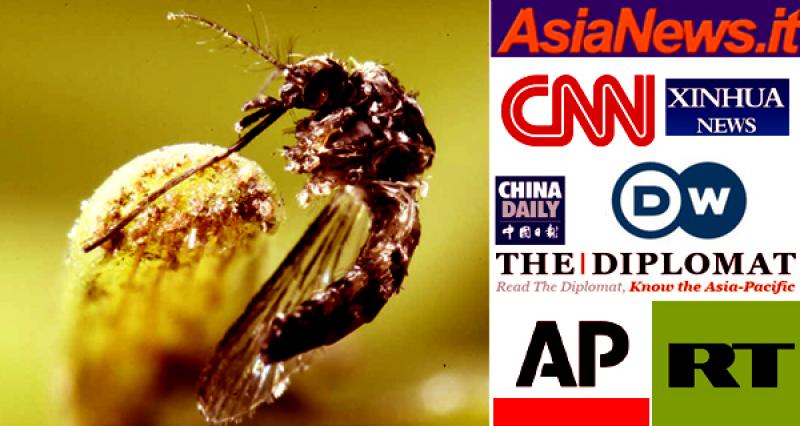 আন্তর্জাতিক গণমাধ্যমে বাংলাদেশের ডেঙ্গু পরিস্থিতি