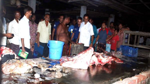 তালায় অসুস্থ্য গাভী জবাই, মাংস ব্যবসায়ীকে জরিমানা