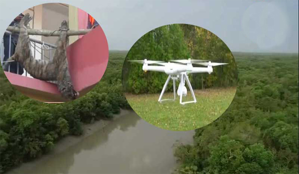 লোকালয়ে বাঘ ঢোকা ঠেকাতে দেয়া হবে নেটের বেড়া