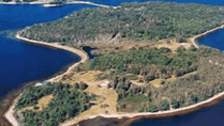 যে খবরে শুরু হয় সেই গুপ্তধনের সন্ধান!