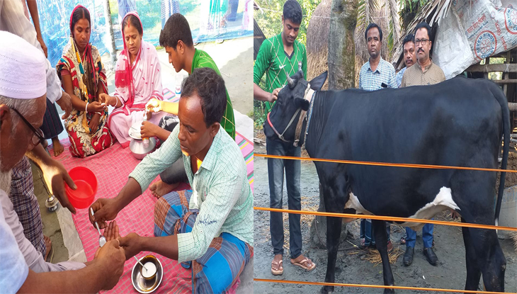 যে গরুর দুধে মিলছে সব রোগের চিকিৎসা