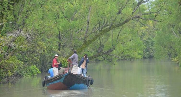 নীলকমল স্টেশনের ওসিসহ ছয় বনরক্ষীর বিরুদ্ধে মামলা