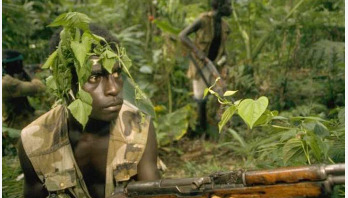 বিশ্বের নতুন দেশ হতে যাচ্ছে বুগেনভিলে?