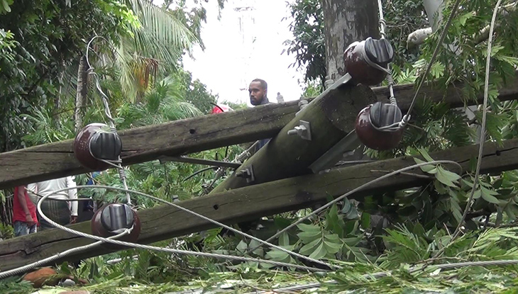ঘূর্ণিঝড় বুলবুলের তাণ্ডবে দুদিন ধরে অন্ধকারে তেরখাদা, স্বাভাবিক হয়নি সড়ক যোগাযোগ
