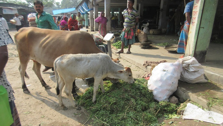 পণ্য পরিবহন ধর্মঘটে লোকসানে ব্যবসায়ীরা