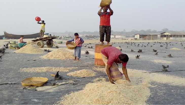 আনোয়ারার শুটকি পল্লী সম্ভাবনার নতুন দ্বার