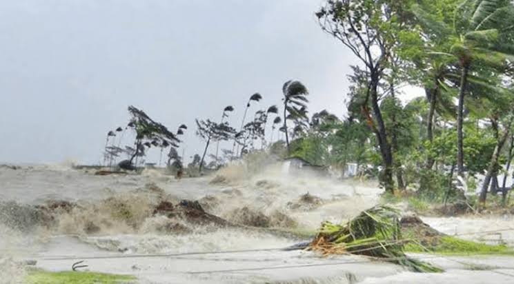 ঘূর্ণিঝড় বুলবুল’র আঘাতে সুন্দরবনের  ক্ষতি এক কোটি ১৩ লাখ টাকা!