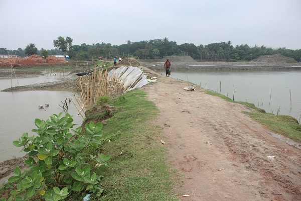 ভৈরবের বাঁধে তিন বিলে জলাবদ্ধতা