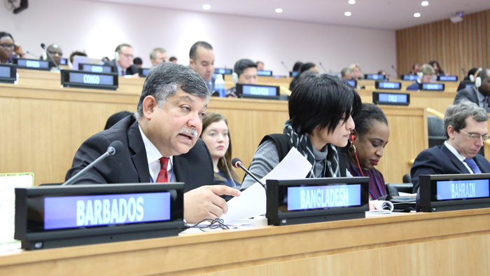 পাট নিয়ে বাংলাদেশের প্রস্তাব জাতিসংঘে সর্বসম্মতিক্রমে গৃহীত