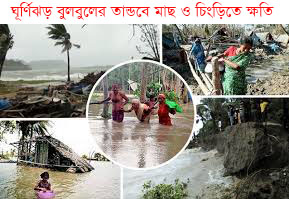 ঘূর্ণিঝড় বুলবুলের তান্ডবে  উপকূলীয় অঞ্চলের  কৃষি, মৎস্য খাতে ব্যাপক বিপর্যয়