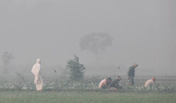 তাপ মাত্রা দ্রুত কমছে নামবে ১০ ডিগ্রির নিচে