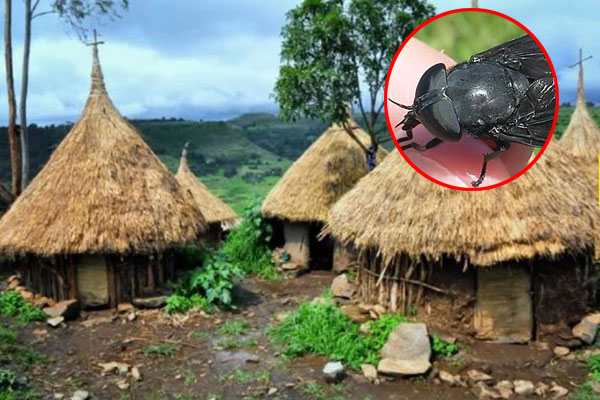 যে গ্রামের সবাই অন্ধ, জন্মের এক সপ্তাহেই দৃষ্টি হারায় শিশুরা!