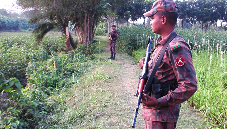 ঝিনাইদহে গরুর সঙ্গে প্রবেশ করছে অনুপ্রবেশকারীরা