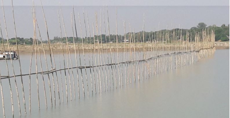 জাটকা ধরতে নদীতে জাল দিয়ে বাঁশের বেড়া