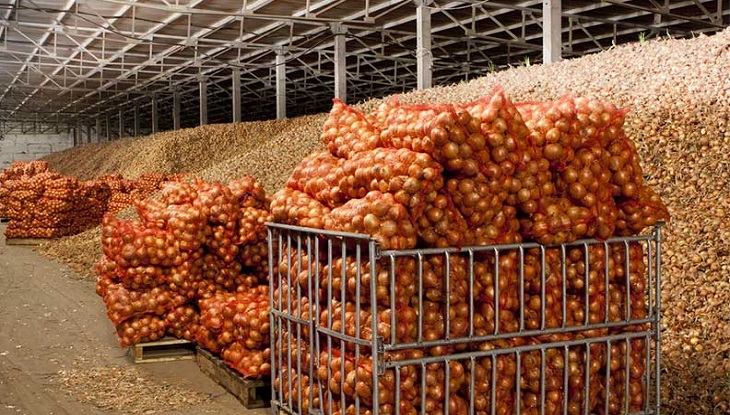 সংরক্ষণের অভাবেই পচে যায় ৩০ শতাংশ পেঁয়াজ