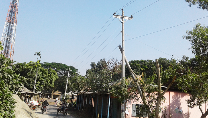 ফরিদপুরে পল্লী বিদ্যুতের খুঁটি প্রতিস্থাপনে দুর্নীতির অভিযোগ
