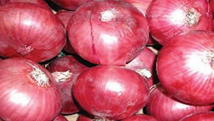 আমদানি করা পেঁয়াজ টিসিবিকে বুঝিয়ে দিল সিটি গ্রুপ