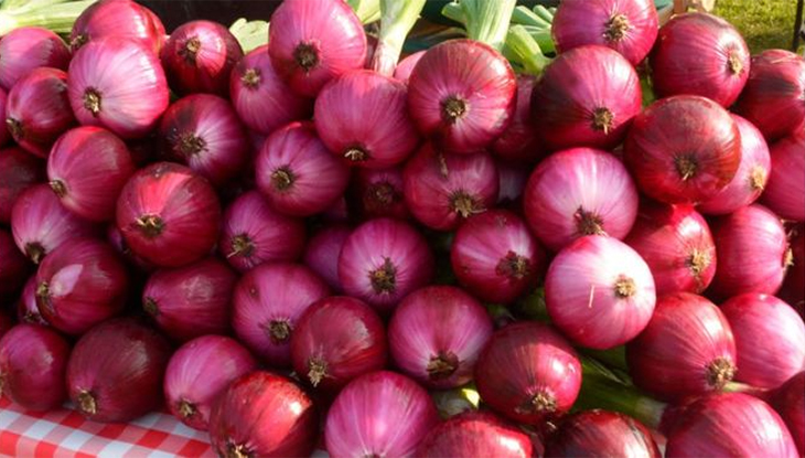 এ সপ্তাহে দাম কমেছে পেঁয়াজের