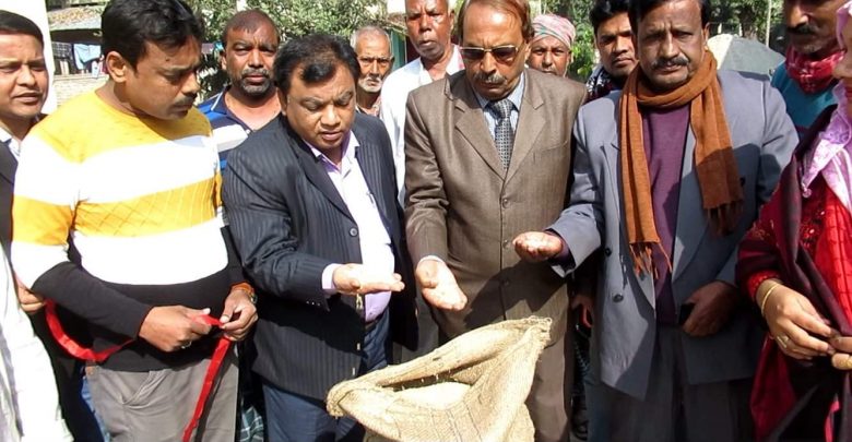 ঝিনাইদহে কৃষকের এ্যাপসের মাধ্যমে আমন ধান সংগ্রহ শুরু