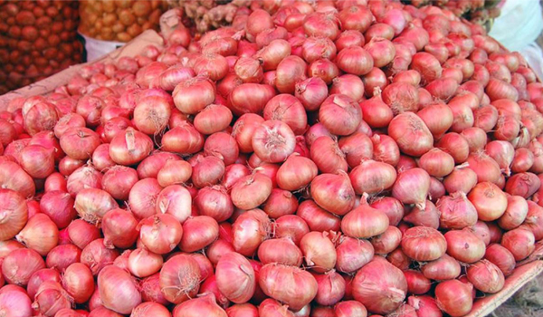 উঠেছে নতুন পেঁয়াজ কেজি ১৯০ টাকা