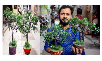 কৃত্রিম বনসাই’ তৈরি করে সাড়া ফেলেছেন তরুণ উদ্যোক্তা লিটন